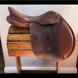 collegiate convertible diploma